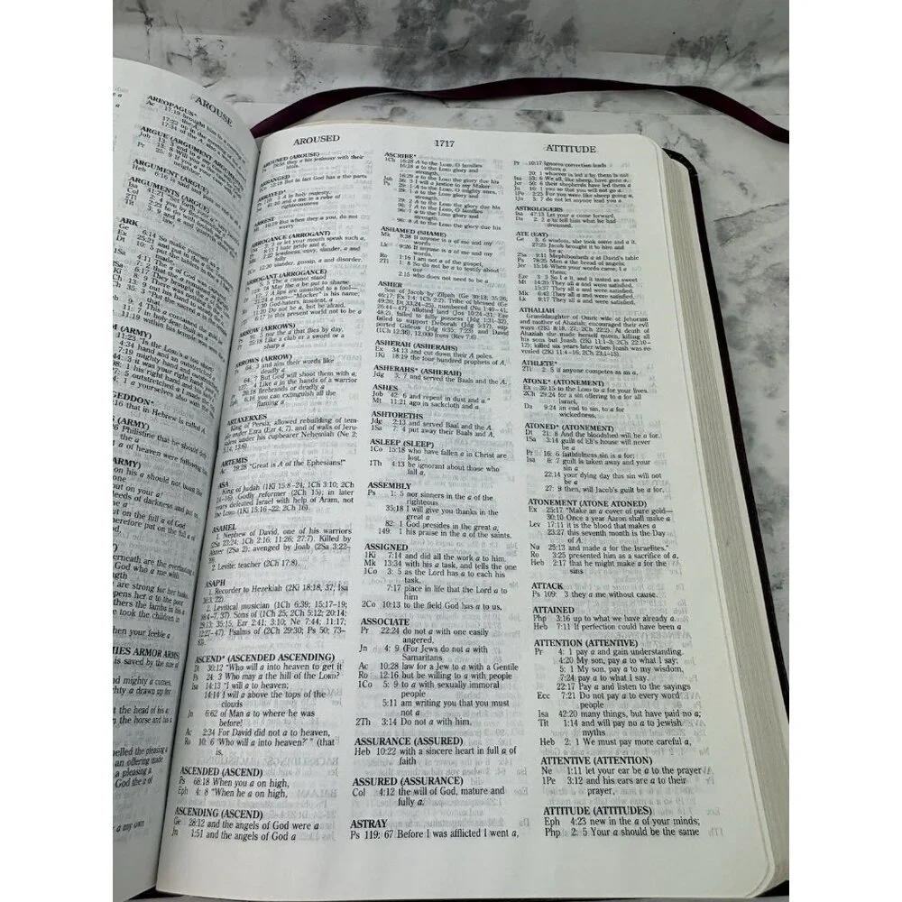 *Key Word Study Bible New International Version Red Letter Edition Red Leather